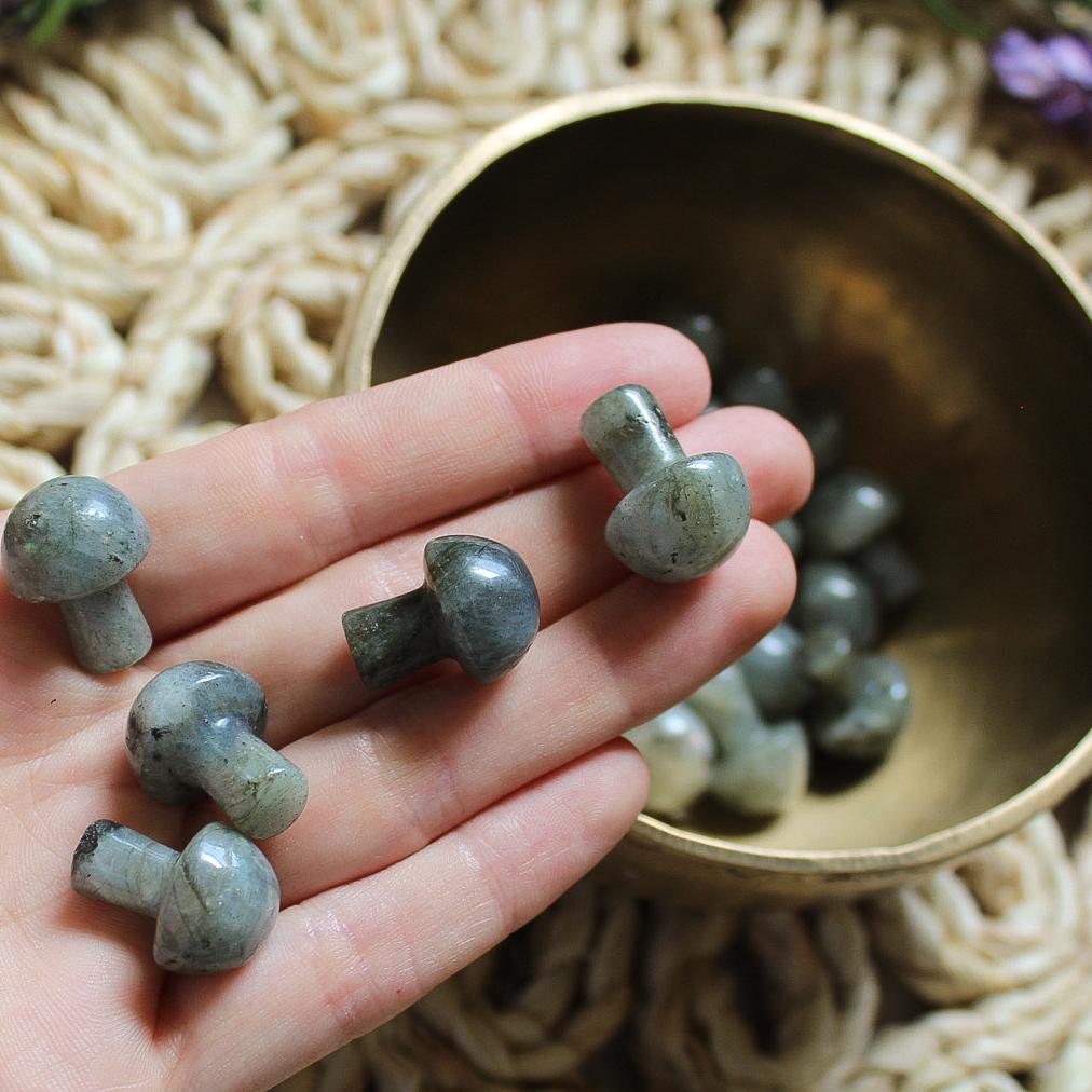 Mini Crystal Mushrooms, Labradorite,unique